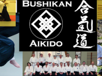 Interview with Bushikan Aikido Kai Founder Greg Sinclair: Searching for Functionality in Aikido